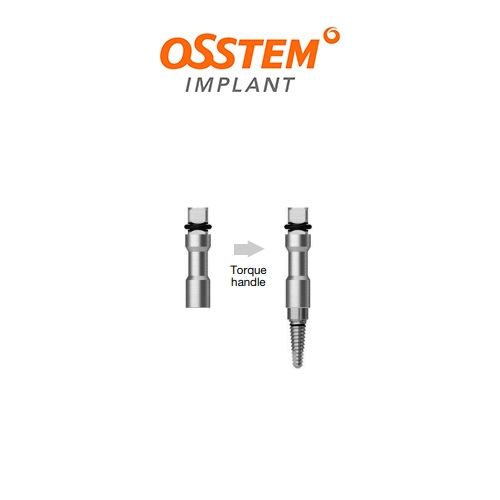 Simple Mount Driver Short - ASMDS