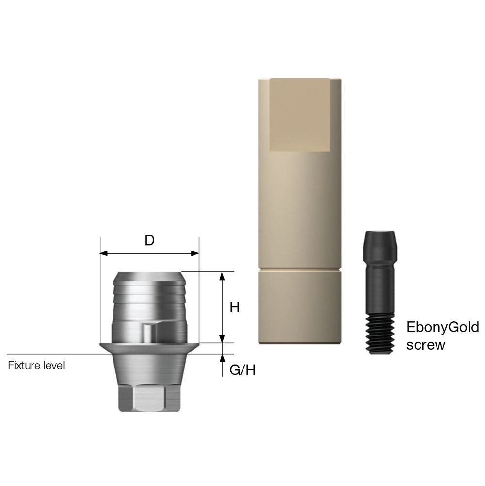 Link Abutment for Public(B Type), Regular Non-Hex with EG Screw - TSPL4561RNWH