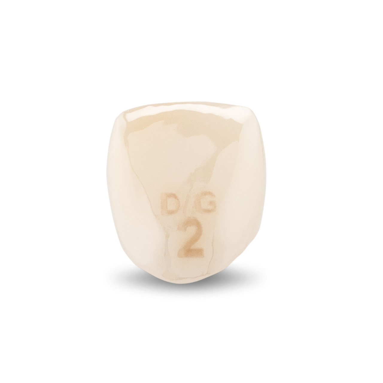 Acero Zirconia Crown Z1 DG2 - Upper lateral incisor size 2, B-U-2