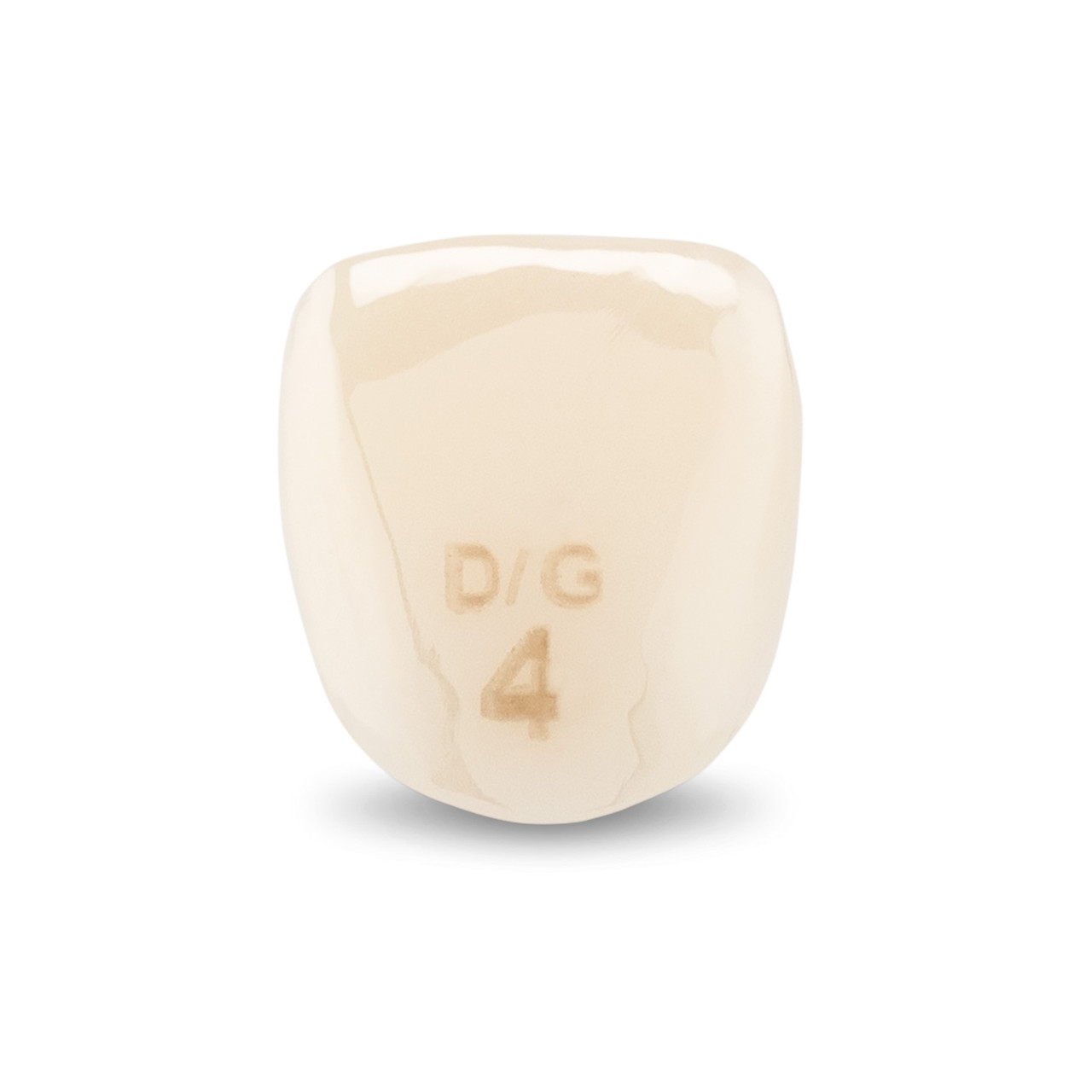 Acero Zirconia Crown Z1 DG4 - Upper lateral incisor size 4, B-U-4