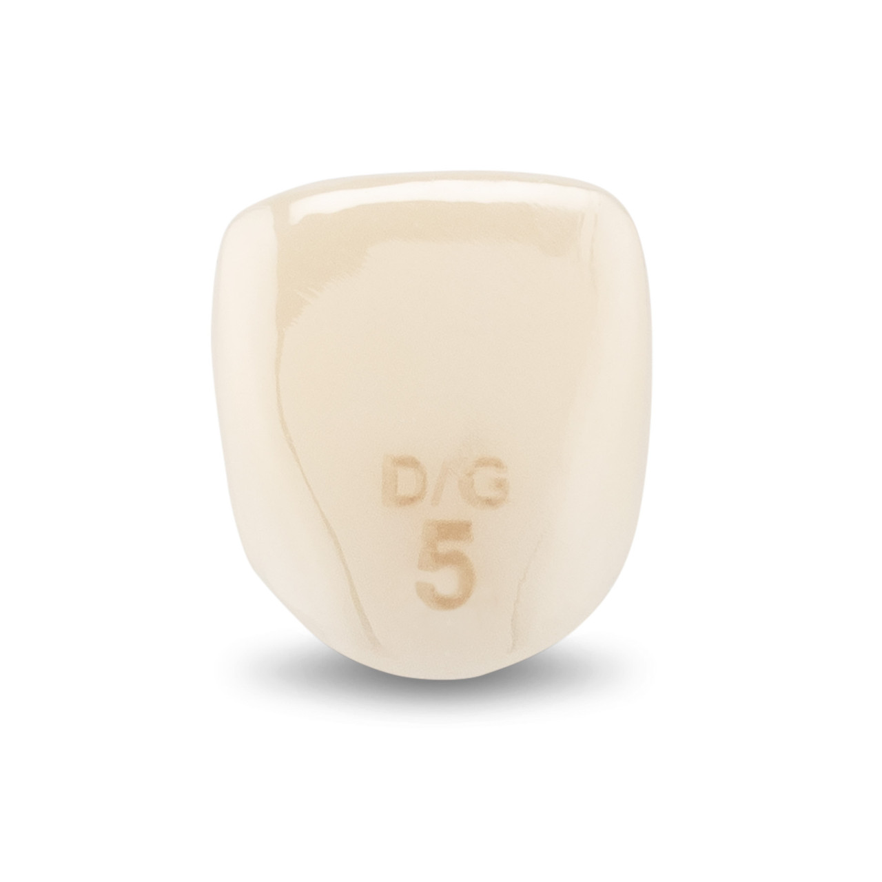 Acero Zirconia Crown Z1 DG5 - Upper lateral incisor size 5, B-U-5 