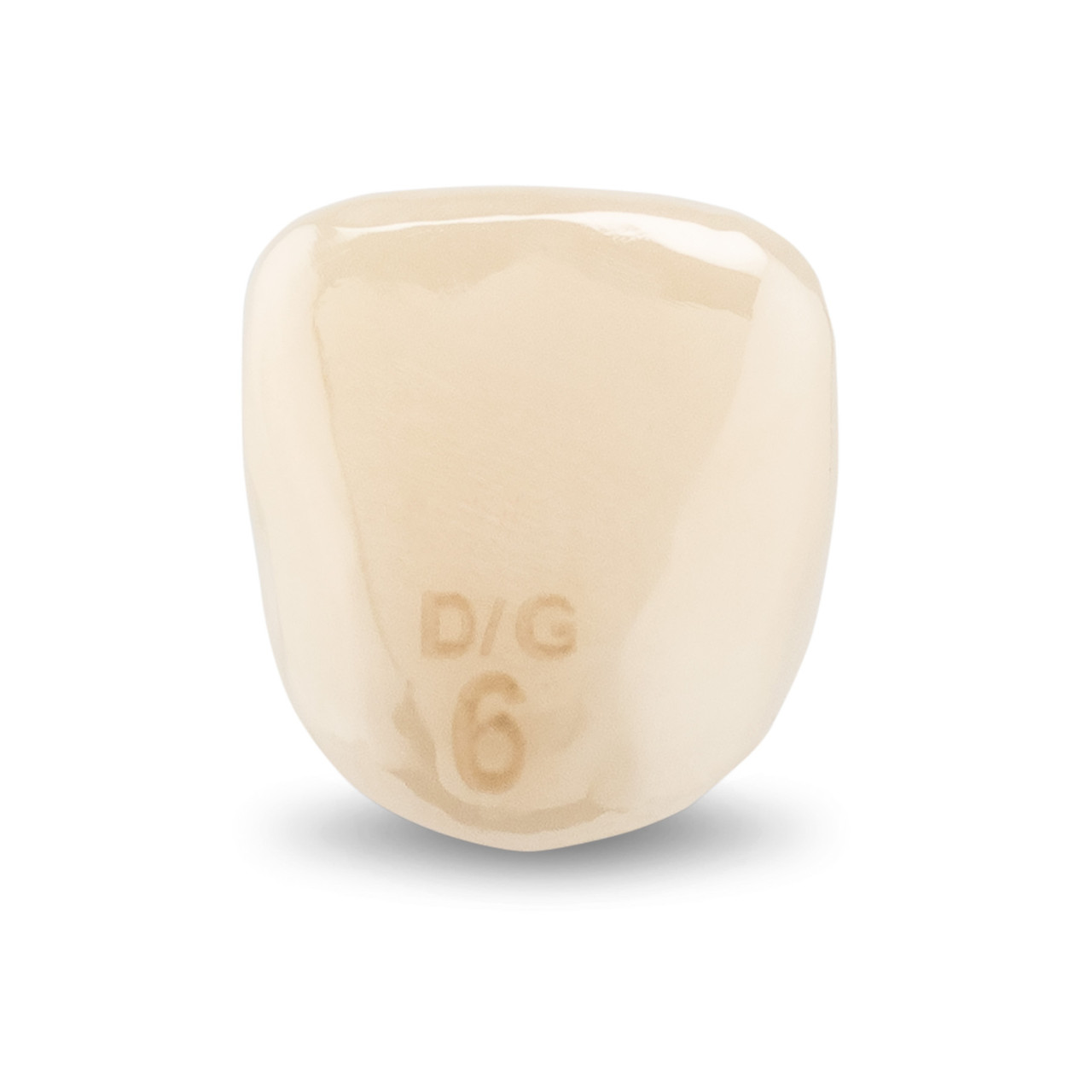 Acero Zirconia Crown Z1 DG6 - Upper lateral incisor size 6, B-U-6