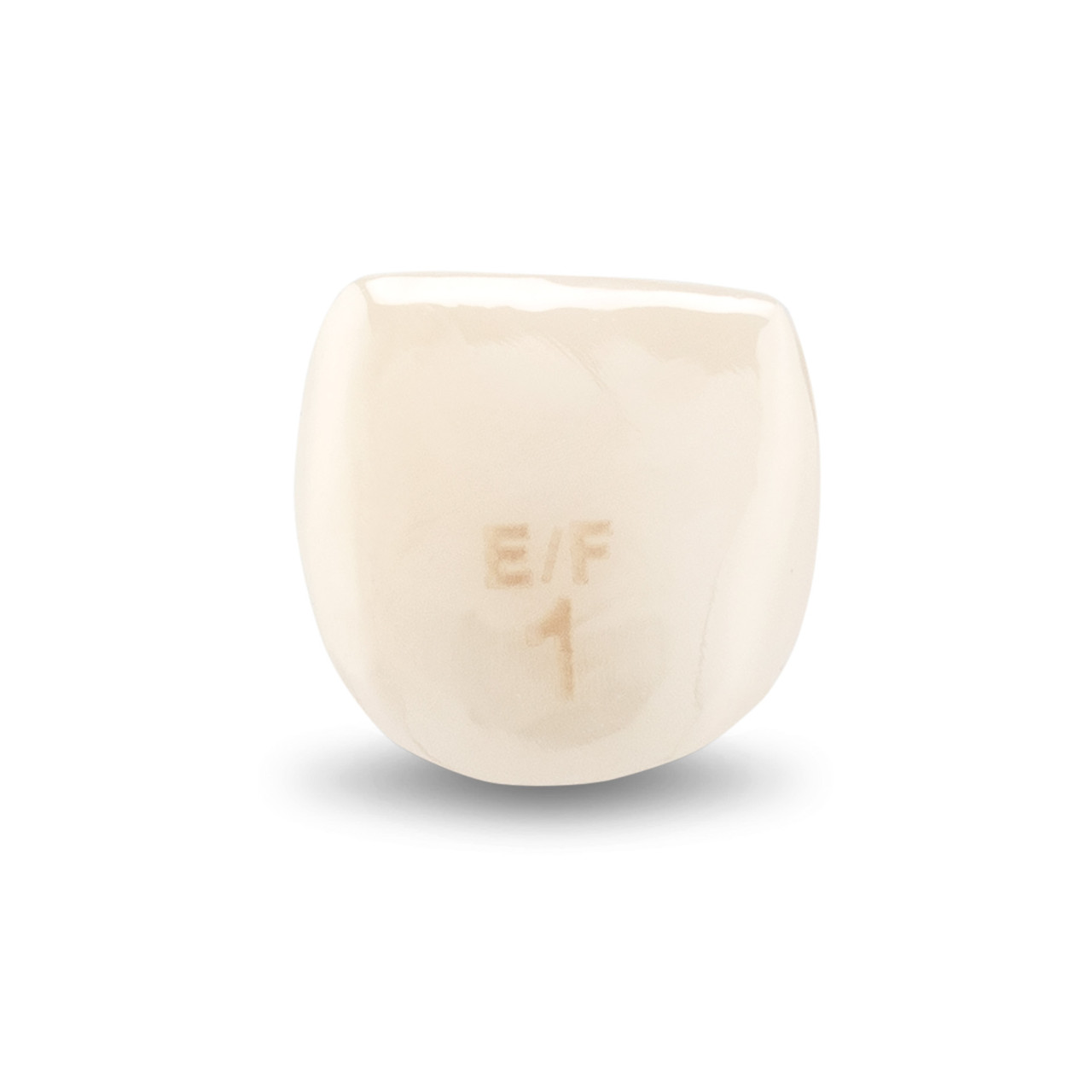Acero Zirconia Crown Z1 EF1 - Upper central incisor size 1, A-U-1