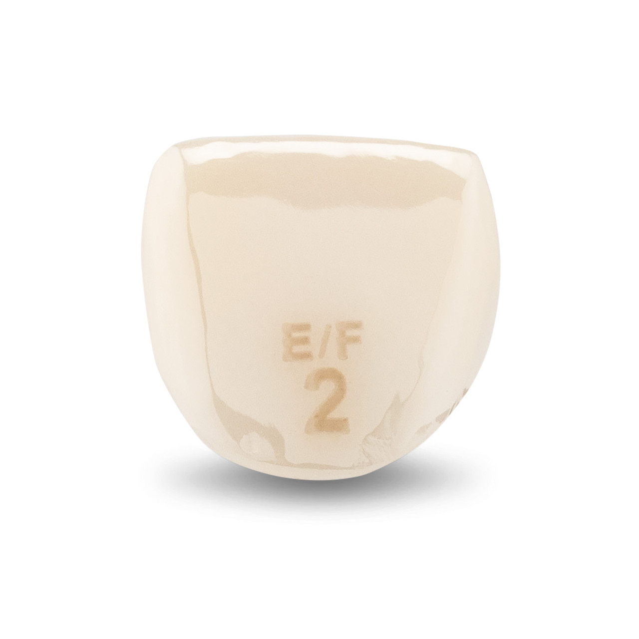 Acero Zirconia Crown Z1 EF2 - Upper central incisor size 2, A-U-2