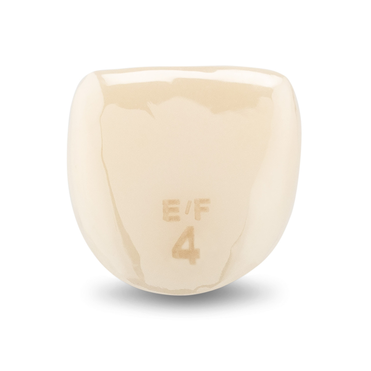 Acero Zirconia Crown Z1 EF4 - Upper central incisor size 4, A-U-4