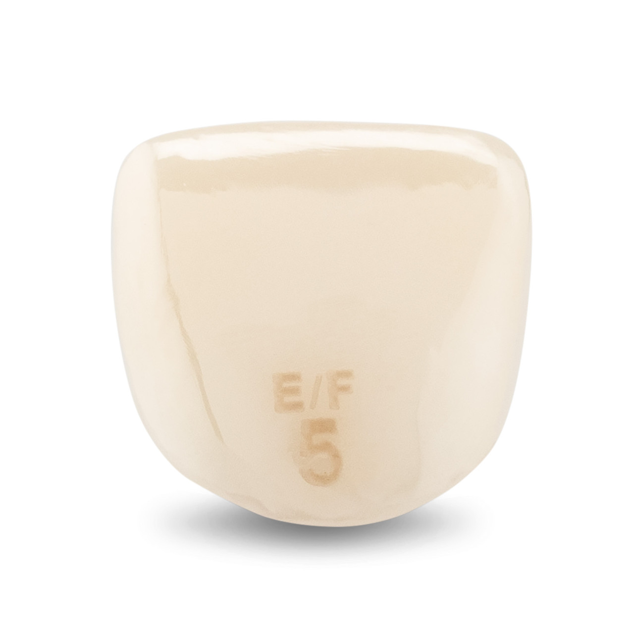 Acero Zirconia Crown Z1 EF5 - Upper central incisor size 5, A-U-5