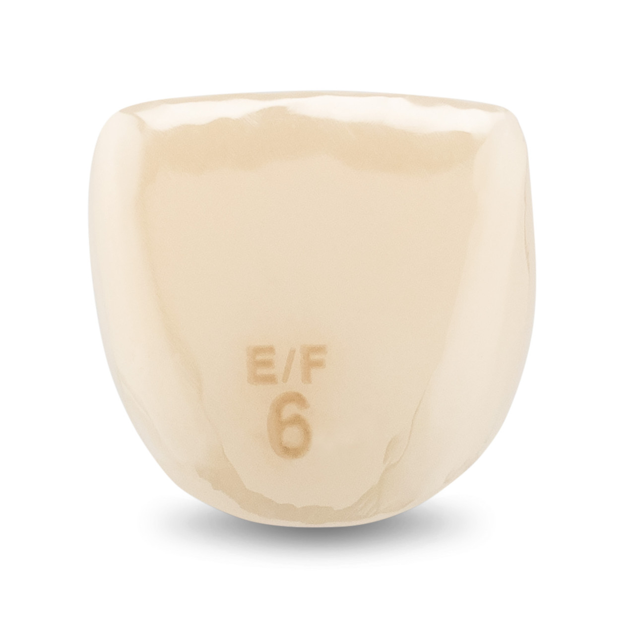 Acero Zirconia Crown Z1 EF6 - Upper central incisor size 6, A-U-6