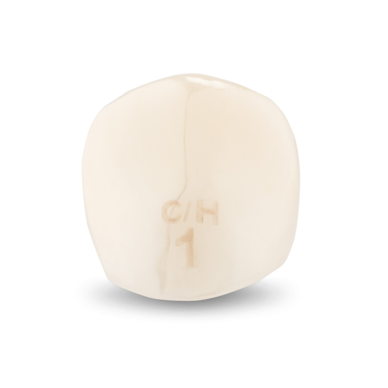 Acero Zirconia Crown Z1 CH1 - Upper canine size 1, C-U-1