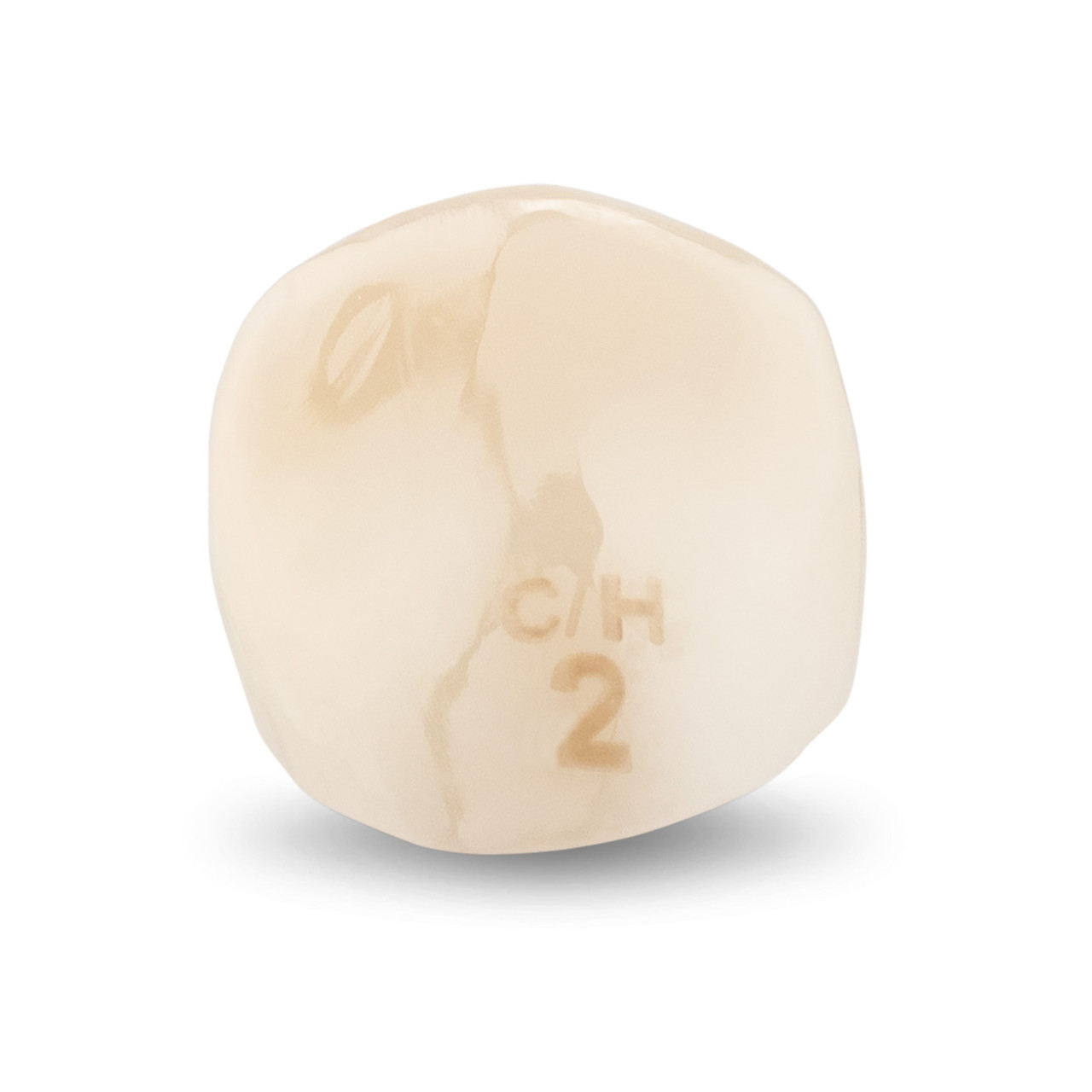 Acero Zirconia Crown Z1 CH2 - Upper canine size 2, C-U-2