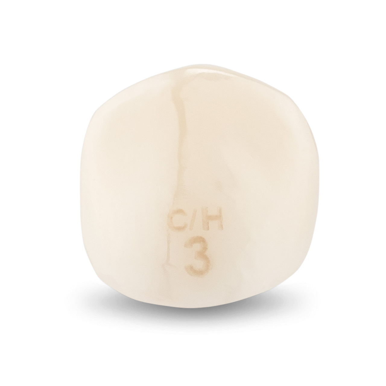 Acero Zirconia Crown Z1 CH3 - Upper canine size 3, C-U-3
