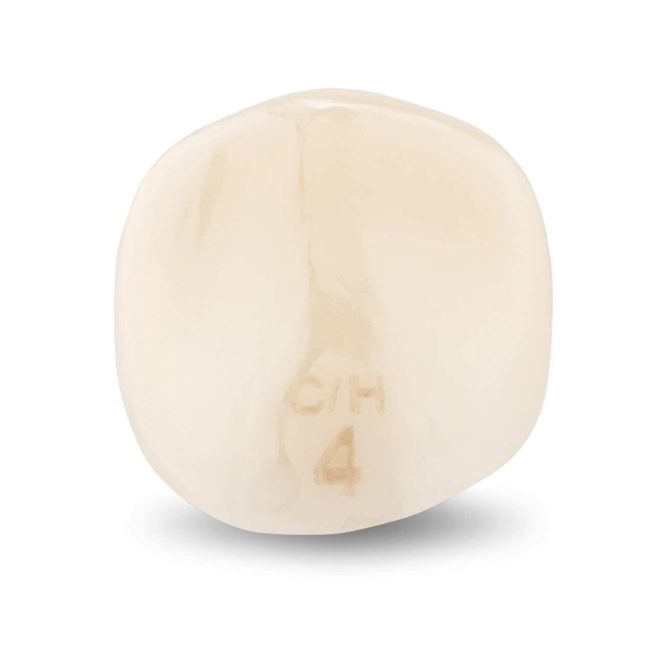 Acero Zirconia Crown Z1 CH4 - Upper canine size 4, C-U-4