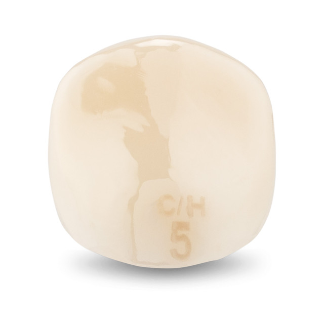 Acero Zirconia Crown Z1 CH5 - Upper canine size 5, C-U-5