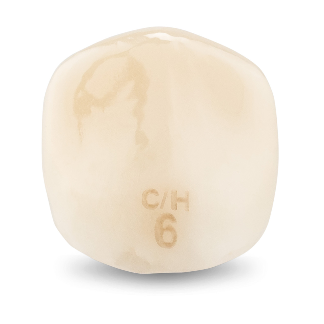 Acero Zirconia Crown Z1 CH6 - Upper canine size 6, C-U-6