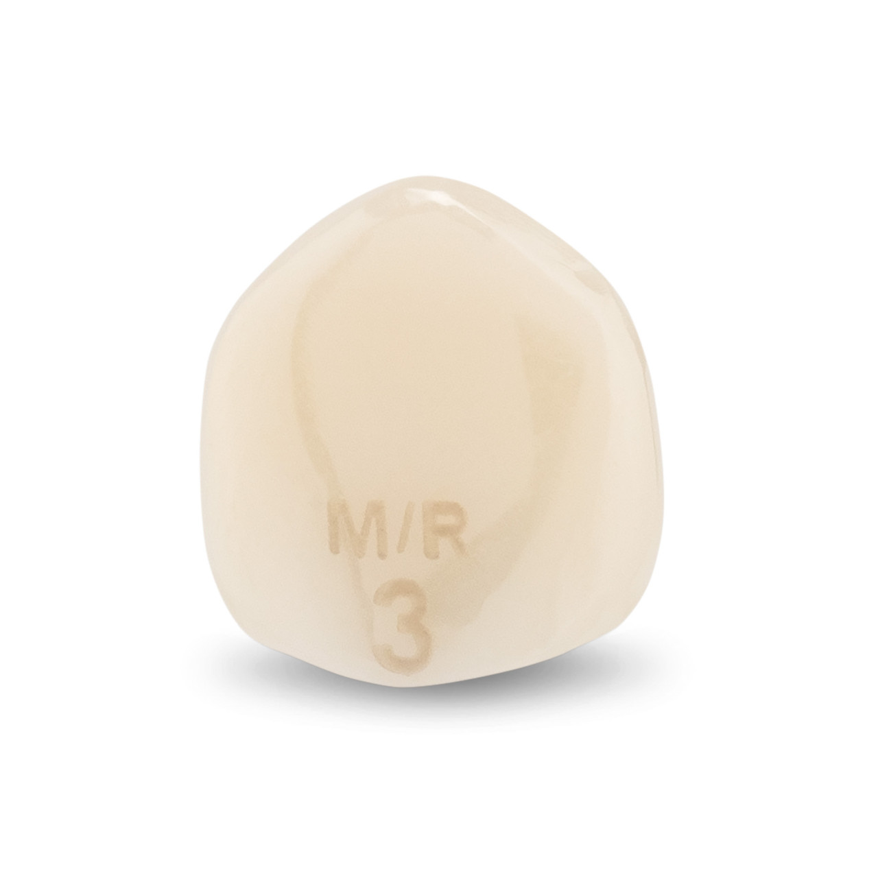 Acero Zirconia Crown Z1 MR3 - Lower canine size 3, C-L-3