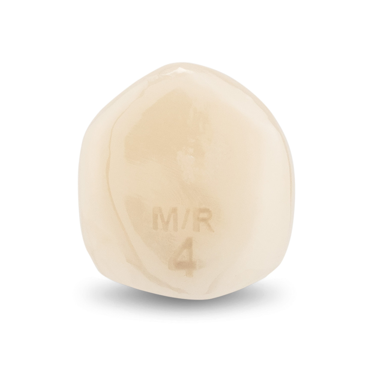 Acero Zirconia Crown Z1 MR4 - Lower canine size 4, C-L-4