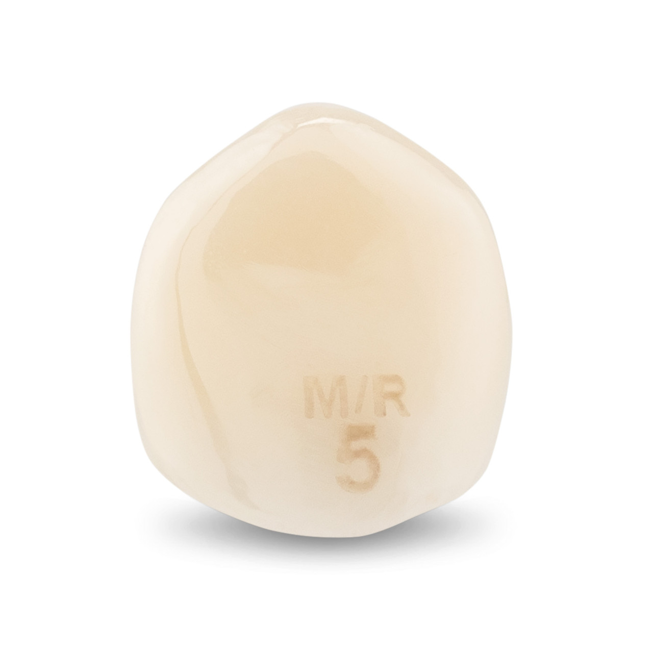 Acero Zirconia Crown Z1 MR5 - Lower canine size 5, C-L-5