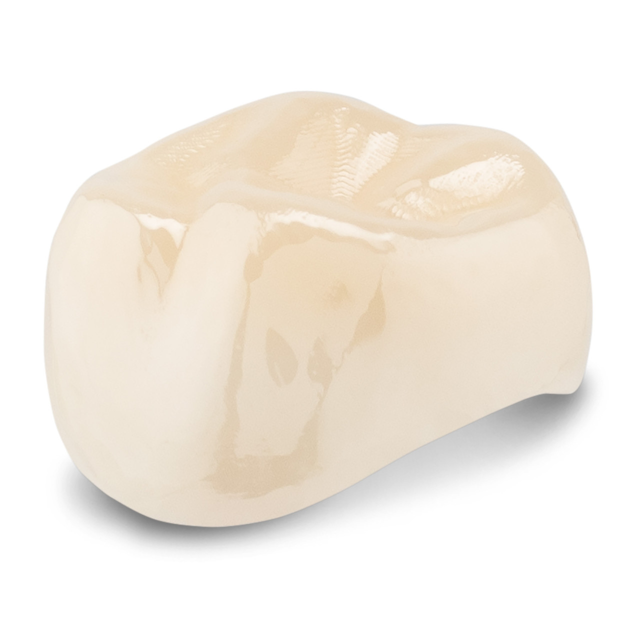 Acero Zirconia Crown Z1 A5 - Upper right primary second molar size 5 (pack of 1 crown), E-UR-5