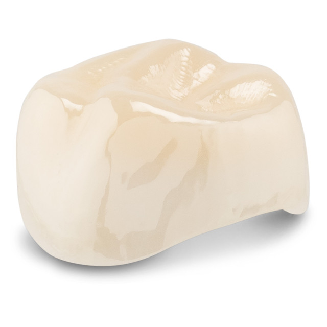 Acero Zirconia Crown Z1 A6 - Upper right primary second molar size 6 (pack of 1 crown), E-UR-6