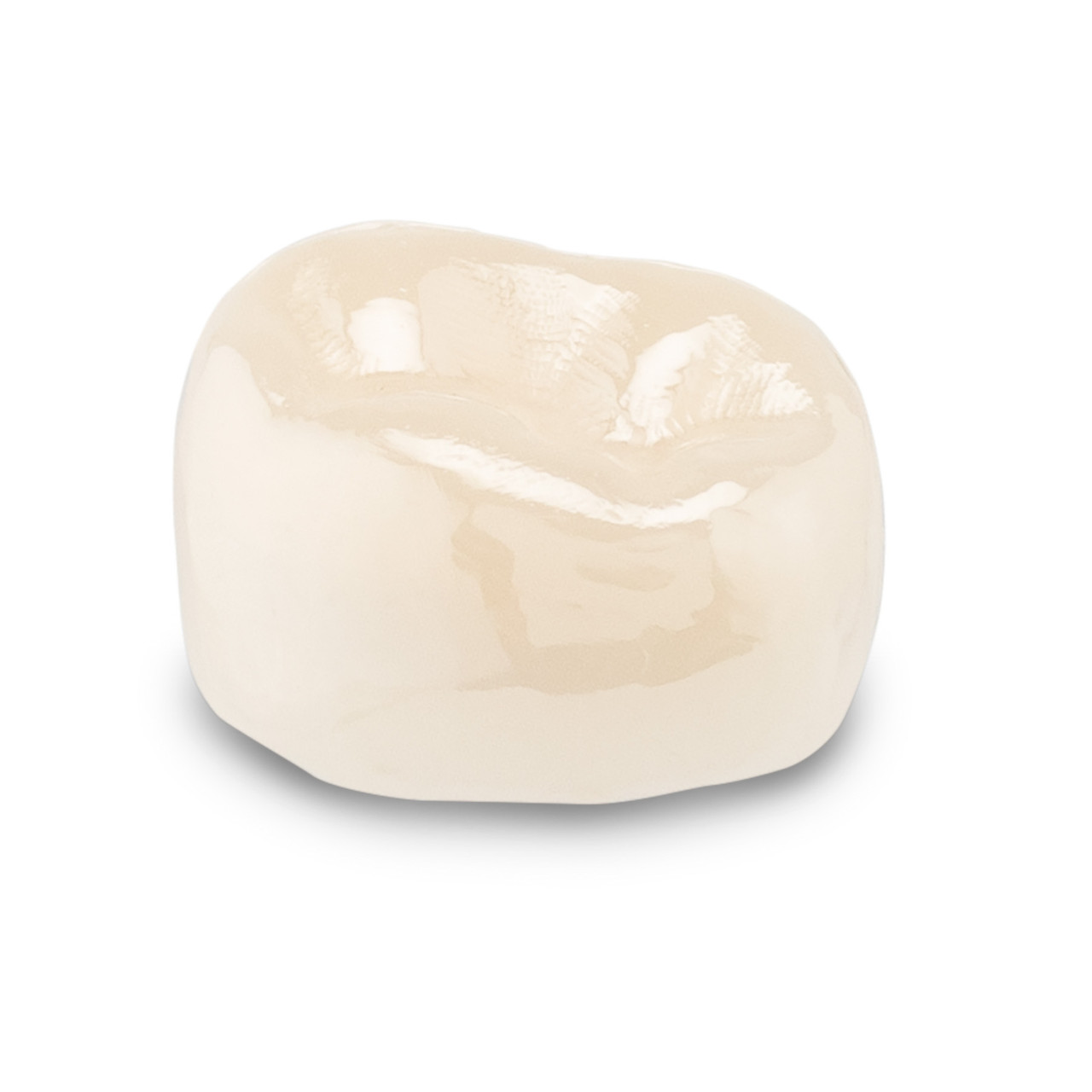 Acero Zirconia Crown Z1 S6 - Lower right primary first molar size 6 (pack of 1 crown), D-LR-6