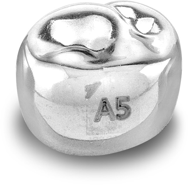 Acero Stainless Steel Crown 3S A5  - Upper right primary second molar size 5 (pack of 5 crowns) E-UR-5 