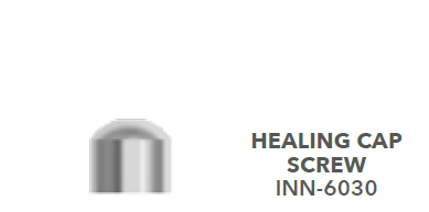 B&B MUA HEALING COMPONENTS CONEXA Healing Screw, INN-6030