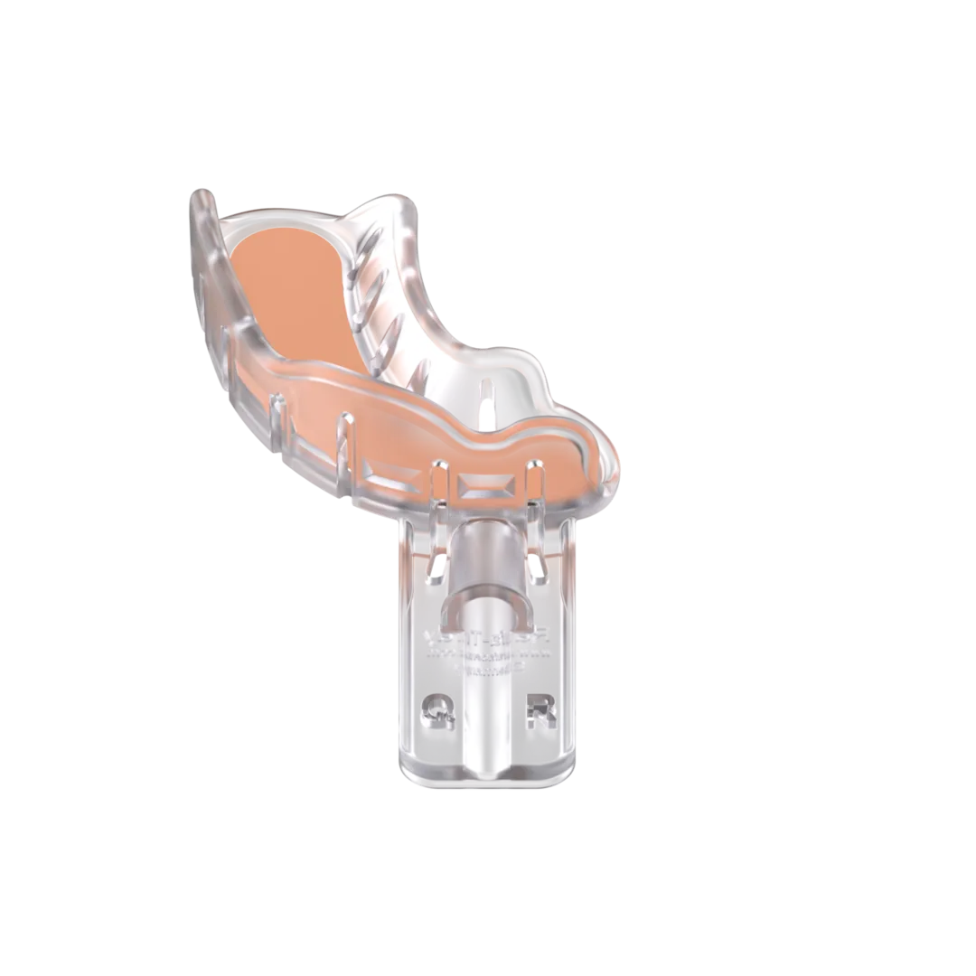 RafaDent Upper Quarter Right Kit (12pcs)